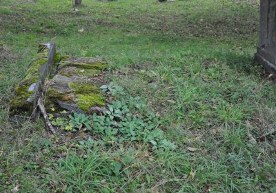 Výsluní, Omnium, 2020