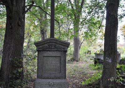 Výsluní, Omnium, 2020