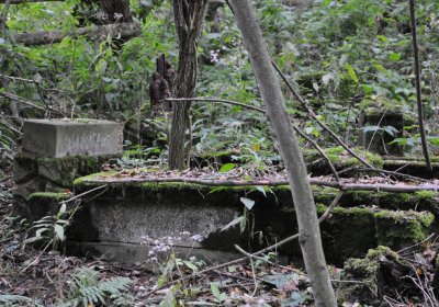 Výsluní, Omnium, 2020