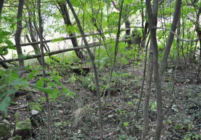 Výsluní, Omnium, 2020