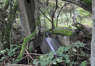 Výsluní, Omnium, 2020