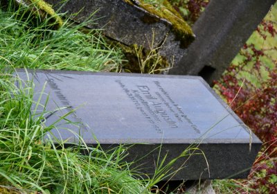 Výsluní, Omnium, 2020