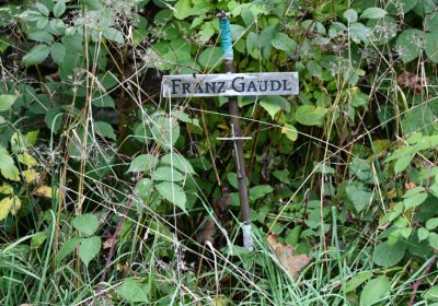 Výsluní, Omnium, 2020