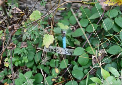 Výsluní, Omnium, 2020