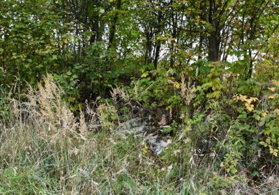 Výsluní, Omnium, 2020