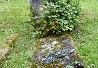 Výsluní, Omnium, 2020