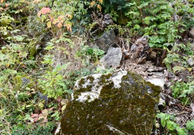 Výsluní, Omnium, 2020