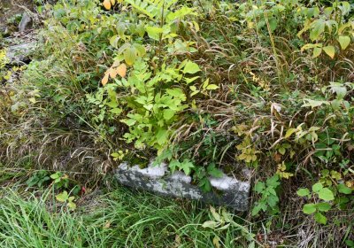 Výsluní, Omnium, 2020