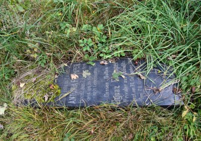 Výsluní, Omnium, 2020