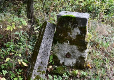 Výsluní, Omnium, 2020