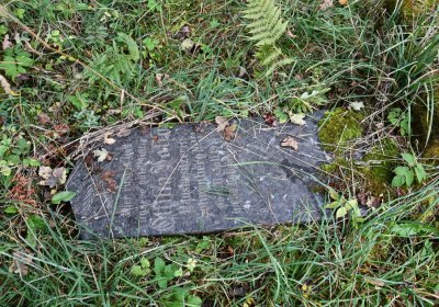 Výsluní, Omnium, 2020