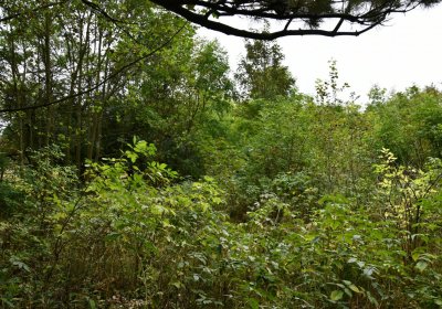 Výsluní, Omnium, 2020