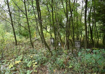 Výsluní, Omnium, 2020