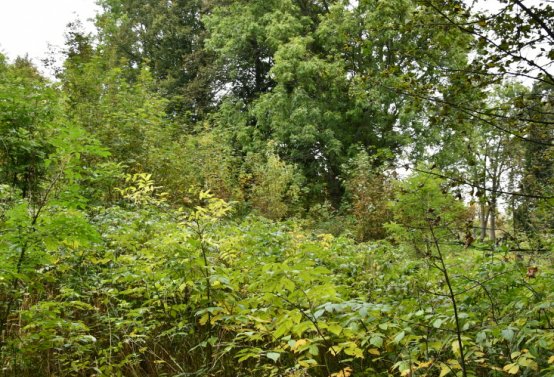 Výsluní, Omnium, 2020