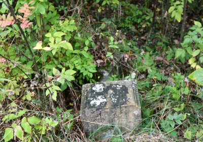 Výsluní, Omnium, 2020