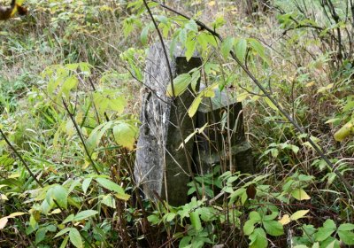 Výsluní, Omnium, 2020