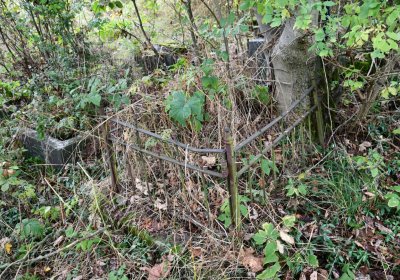 Výsluní, Omnium, 2020