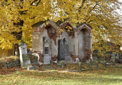 Sedláček Hugo, 2016