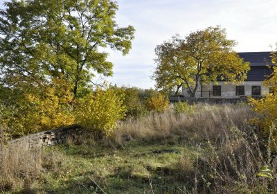 Sedláček Hugo, 2016