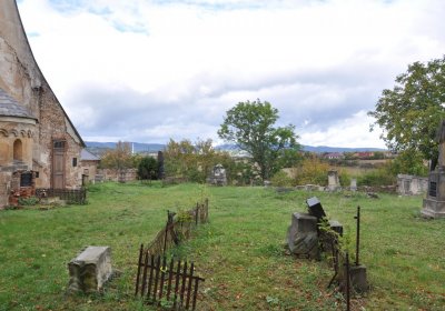 Želina, Omnium, 2020