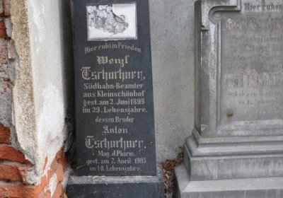 Želina, Omnium, 2020