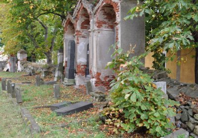 Želina, Omnium, 2020