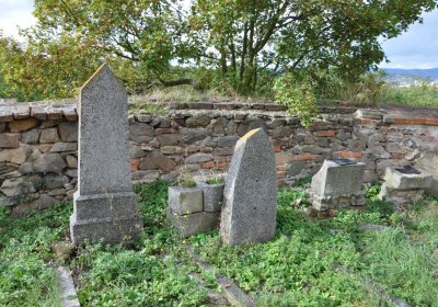 Želina, Omnium, 2020