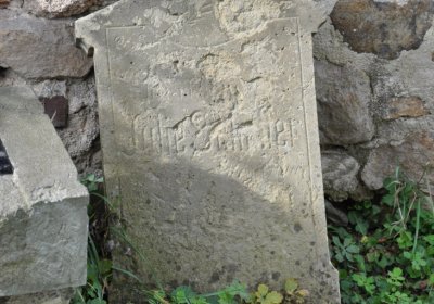 Želina, Omnium, 2020