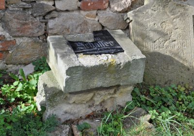 Želina, Omnium, 2020