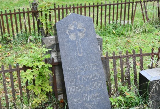 Želina, Omnium, 2020