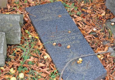 Želina, Omnium, 2020