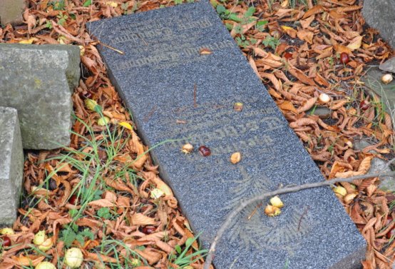 Želina, Omnium, 2020