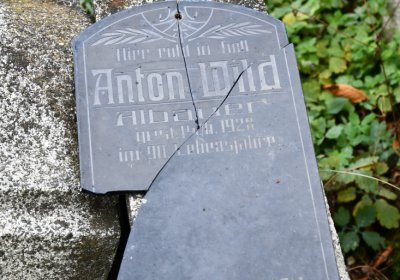 Želina, Omnium, 2020