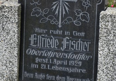 Želina, Omnium, 2020