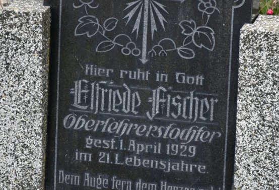 Želina, Omnium, 2020