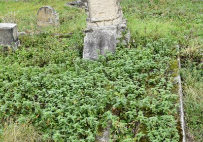 Želina, Omnium, 2020