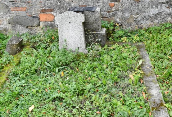 Želina, Omnium, 2020