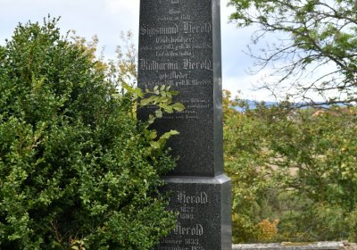 Želina, Omnium, 2020