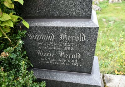 Želina, Omnium, 2020