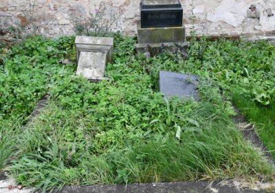 Želina, Omnium, 2020