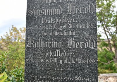 Želina, Omnium, 2020