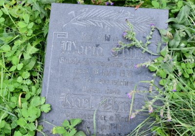 Želina, Omnium, 2020