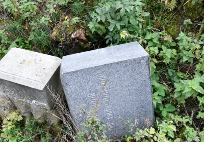 Želina, Omnium, 2020