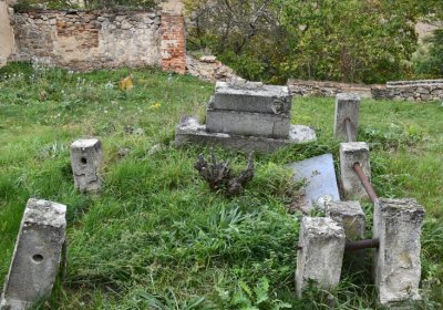 Želina, Omnium, 2020