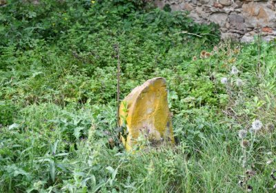 Želina, Omnium, 2020