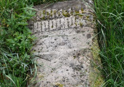 Želina, Omnium, 2020