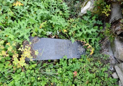 Želina, Omnium, 2020