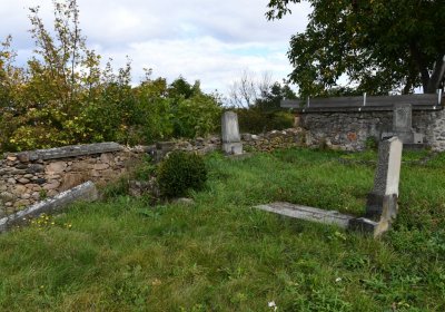 Želina, Omnium, 2020