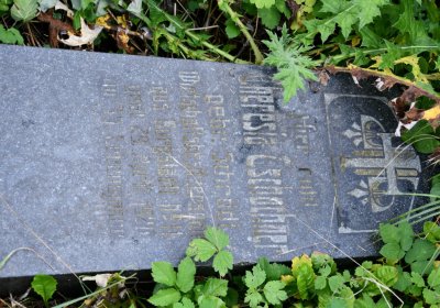 Želina, Omnium, 2020