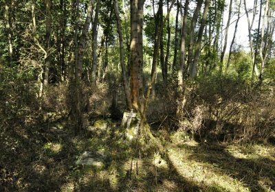 Sedláček Hugo, 2016